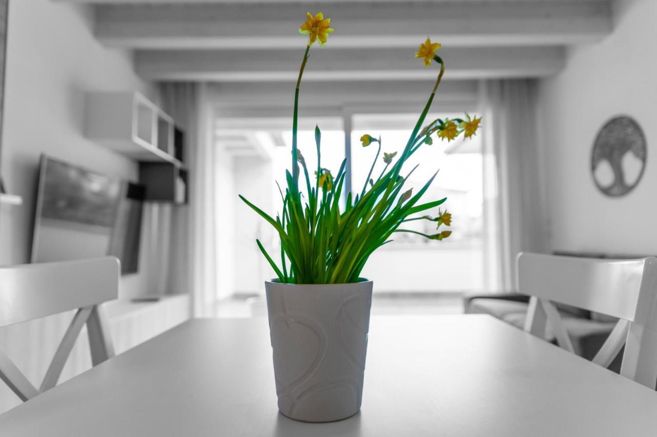 Verona Urban Apartment Zewnętrze zdjęcie